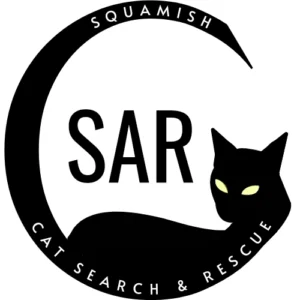 CatSAR Logo